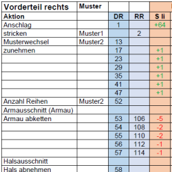 Zoom Anleitung